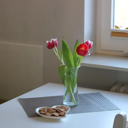 Apartment De Grote Linde *